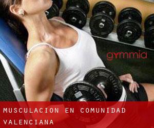 Musculación en Comunidad Valenciana