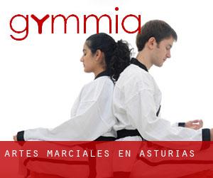 Artes marciales en Asturias