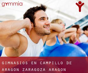 gimnasios en Campillo de Aragón (Zaragoza, Aragón)