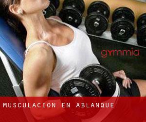Musculación en Ablanque