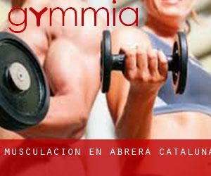 Musculación en Abrera (Cataluña) Musculación en Abrera (Cataluña)