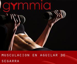 Musculación en Aguilar de Segarra