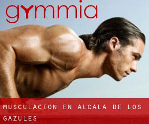 Musculación en Alcalá de los Gazules