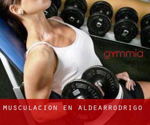 Musculación en Aldearrodrigo