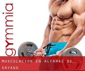 Musculación en Alfaraz de Sayago