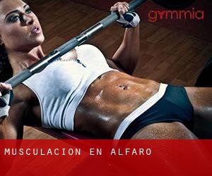 Musculación en Alfaro