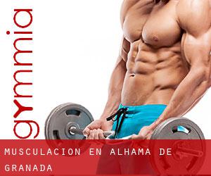 Musculación en Alhama de Granada