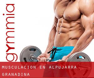 Musculación en Alpujarra Granadina
