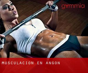Musculación en Angón