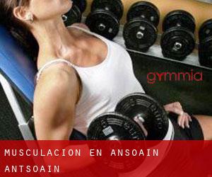 Musculación en Ansoáin / Antsoain