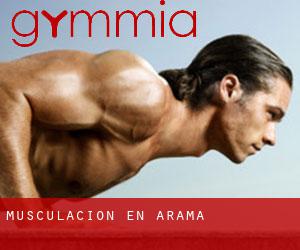 Musculación en Arama