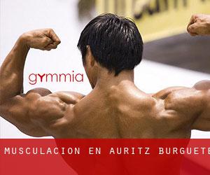 Musculación en Auritz / Burguete