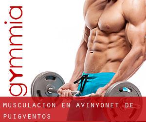 Musculación en Avinyonet de Puigventós