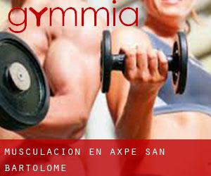 Musculación en Axpe-San Bartolome