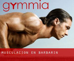 Musculación en Barbarin