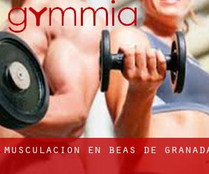 Musculación en Beas de Granada