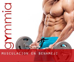 Musculación en Benamejí