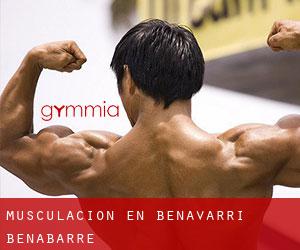 Musculación en Benavarri / Benabarre