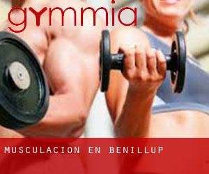 Musculación en Benillup