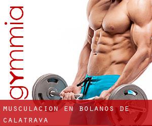 Musculación en Bolaños de Calatrava