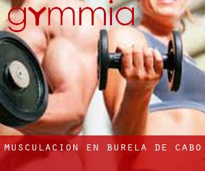 Musculación en Burela de Cabo Musculación en Burela de Cabo