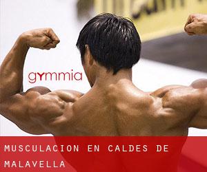 Musculación en Caldes de Malavella