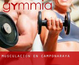 Musculación en Camponaraya