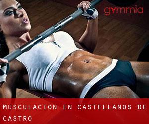 Musculación en Castellanos de Castro