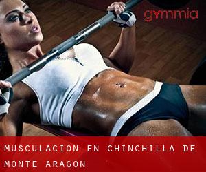 Musculación en Chinchilla de Monte Aragón
