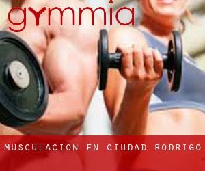 Musculación en Ciudad Rodrigo
