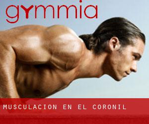 Musculación en El Coronil