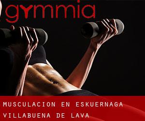 Musculación en Eskuernaga / Villabuena de Álava