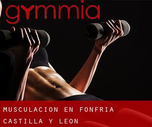 Musculación en Fonfría (Castilla y León)