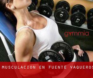 Musculación en Fuente Vaqueros