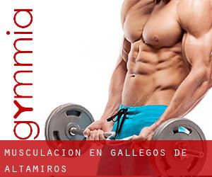Musculación en Gallegos de Altamiros