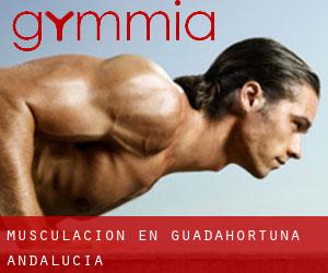 Musculación en Guadahortuna (Andalucía)