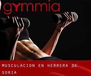 Musculación en Herrera de Soria