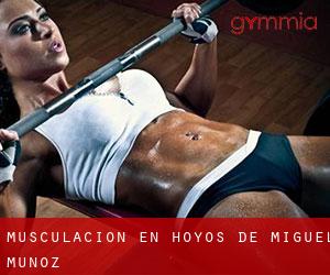 Musculación en Hoyos de Miguel Muñoz