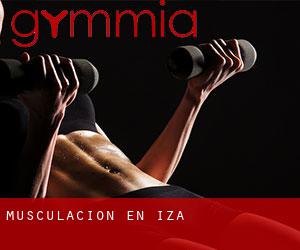 Musculación en Iza