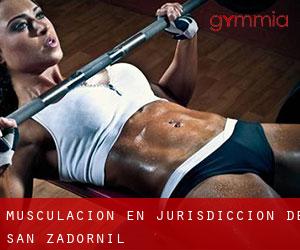 Musculación en Jurisdicción de San Zadornil