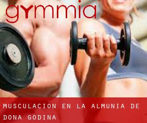 Musculación en La Almunia de Doña Godina