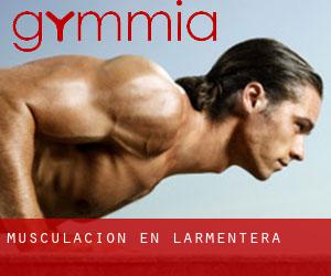 Musculación en l'Armentera
