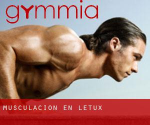 Musculación en Letux
