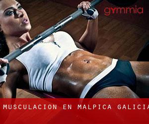 Musculación en Malpica (Galicia)