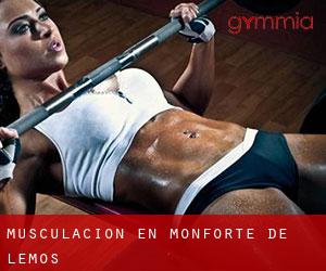 Musculación en Monforte de Lemos Musculación en Monforte de Lemos
