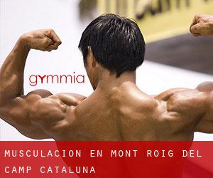 Musculación en Mont-roig del Camp (Cataluña)