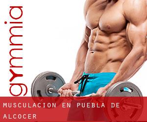 Musculación en Puebla de Alcocer