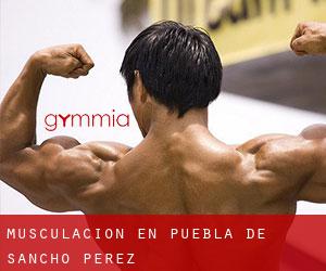 Musculación en Puebla de Sancho Pérez