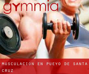 Musculación en Pueyo de Santa Cruz