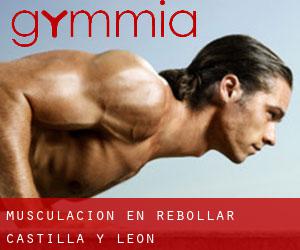 Musculación en Rebollar (Castilla y León)